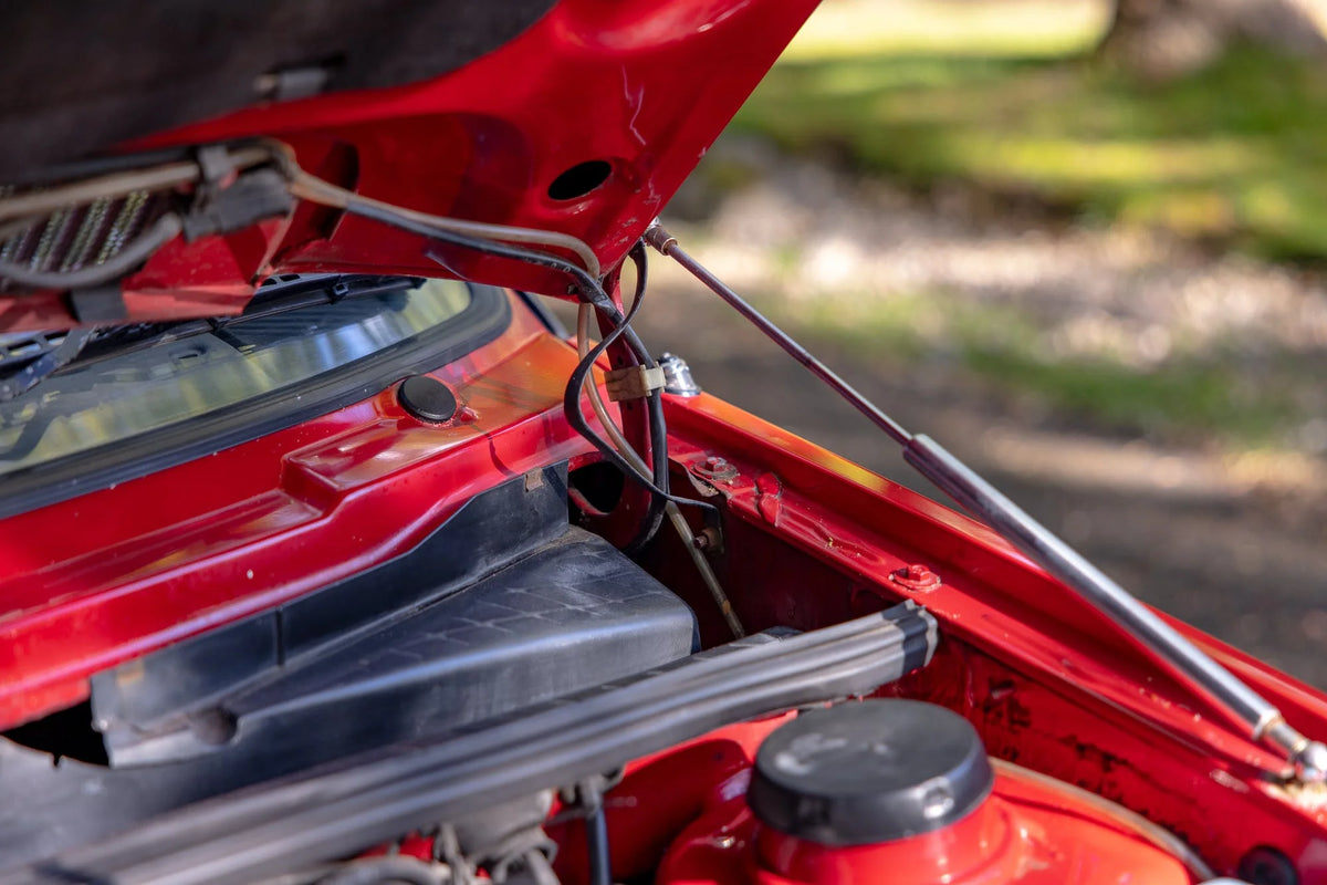 VW Golf 2 – Motorhauben Lift Gasdruckfedern Carbon-Optik