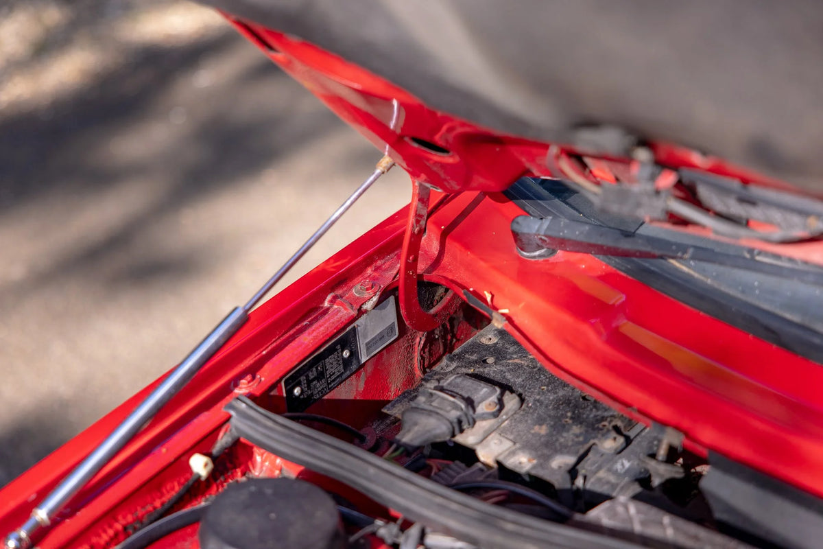 VW Golf 2 – Motorhauben Lift Gasdruckfedern Carbon-Optik
